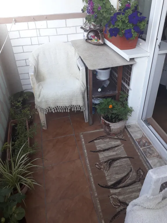 Квартира Уютная квартира в зеленой зоне — Светлогорск