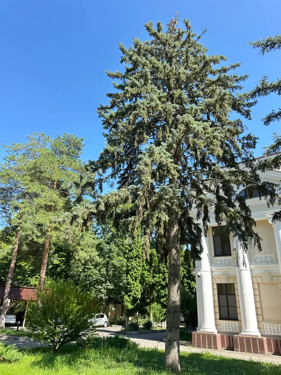 Уютная квартира в центре курзоны