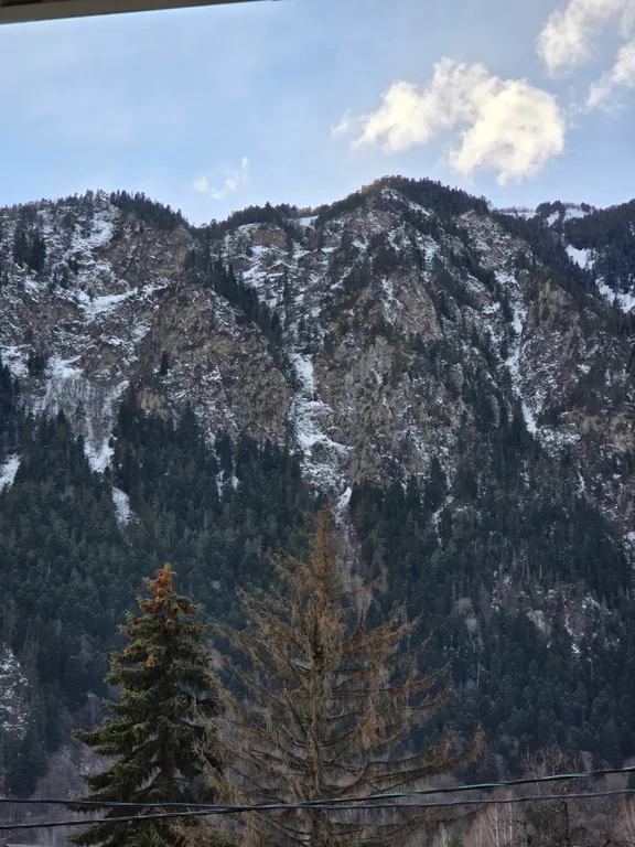 Уютные апартаменты в Домбае