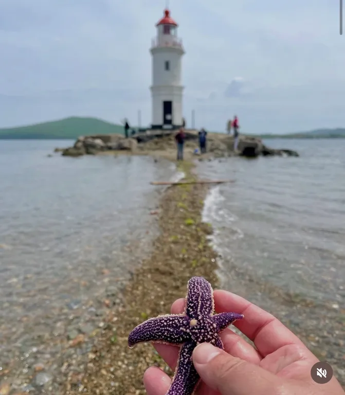 Стильная квартира с панорамным видом на море