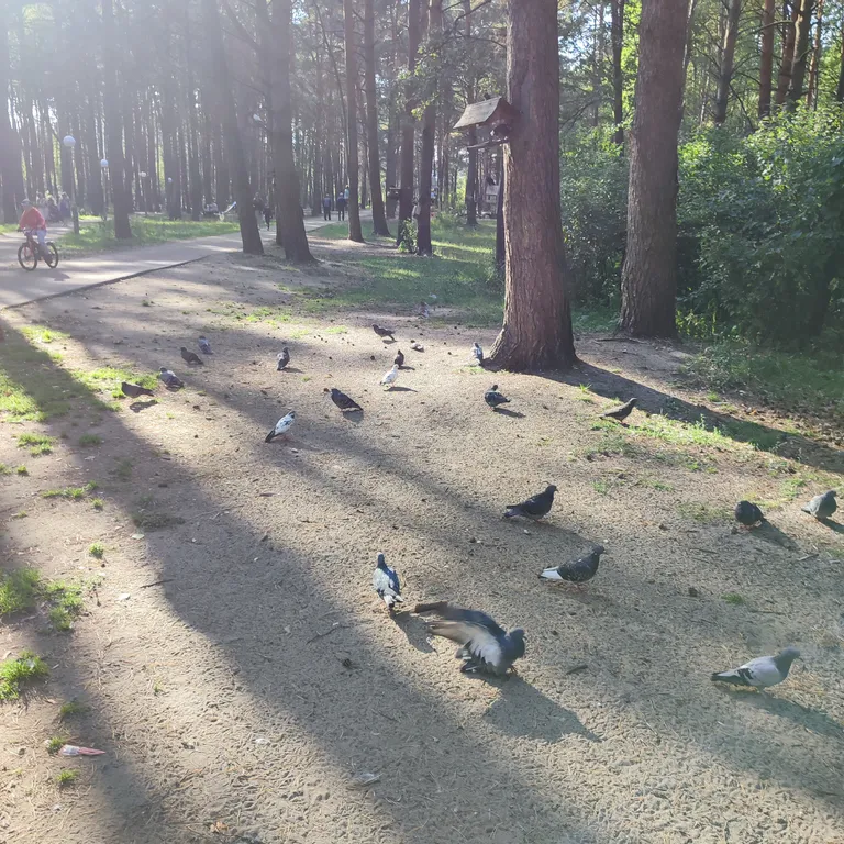 Евродвушка как трёшка