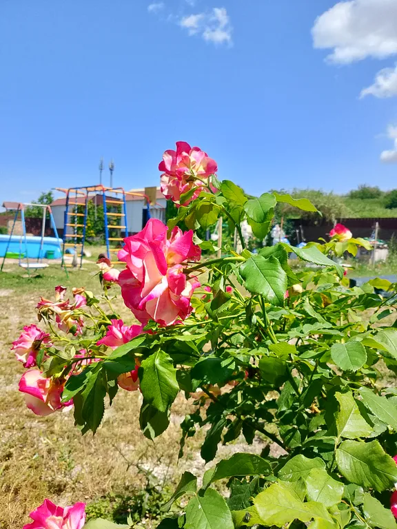 Гостевой дом У Тузика на 3-4 человека