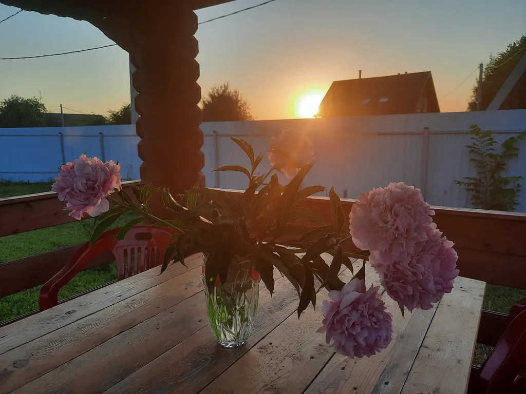 Дом-баня на берегу Оки