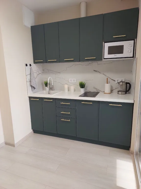 1 комнатные апартаменты в центре города