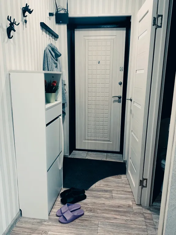 Квартира 1-комнатная Квартира — Отрадный