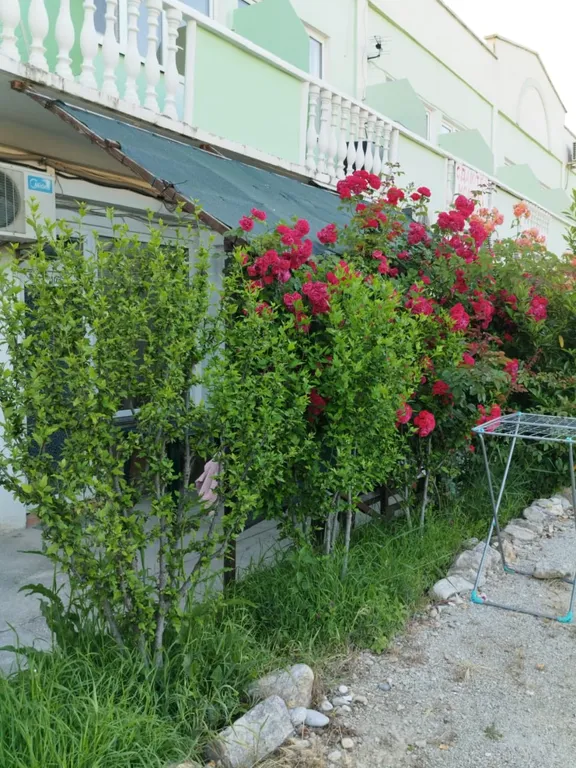 Квартира Семейные пятиместные апартаменты на берегу моря — Любимовка