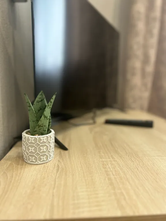 Просторная квартира в новом доме