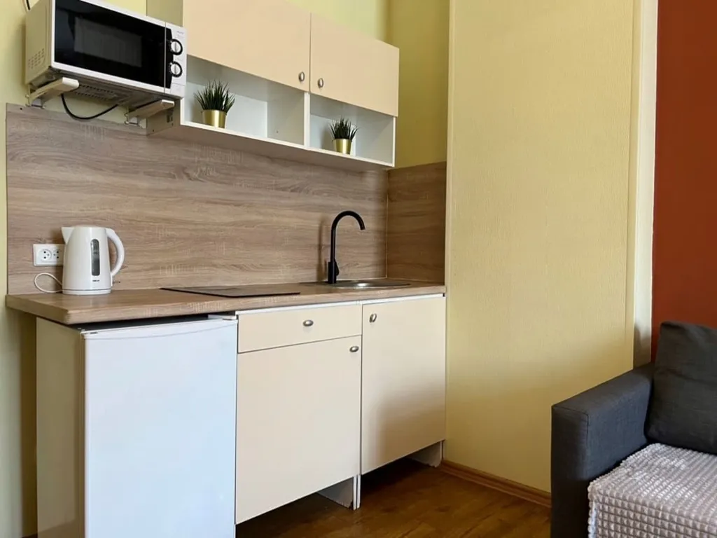 Квартира Светлая квартира вблизи линии метро для 4х гостей — Новосибирск