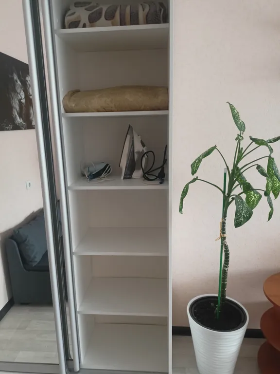 1 комнатная квартира