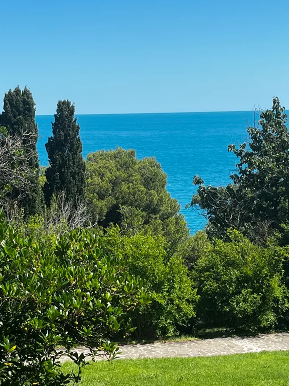 Уютная новая студия