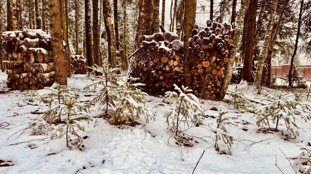 Дом с сибирским банным чаном в лесу