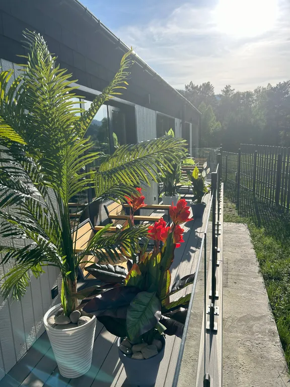 Двухместный номер Джуниор Сюит для вас и вашего питомца