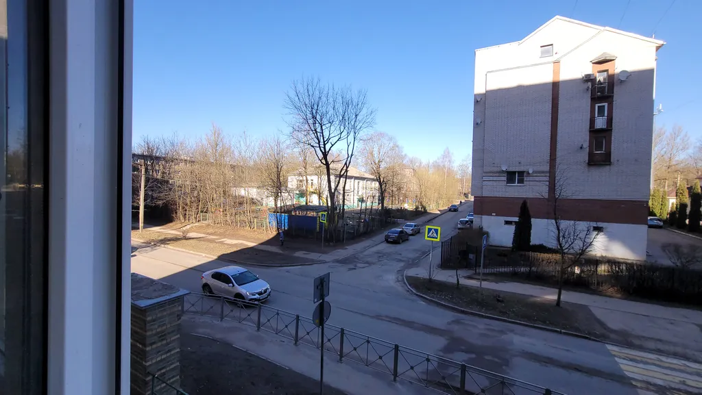 Застенчевая Ива у Пруда