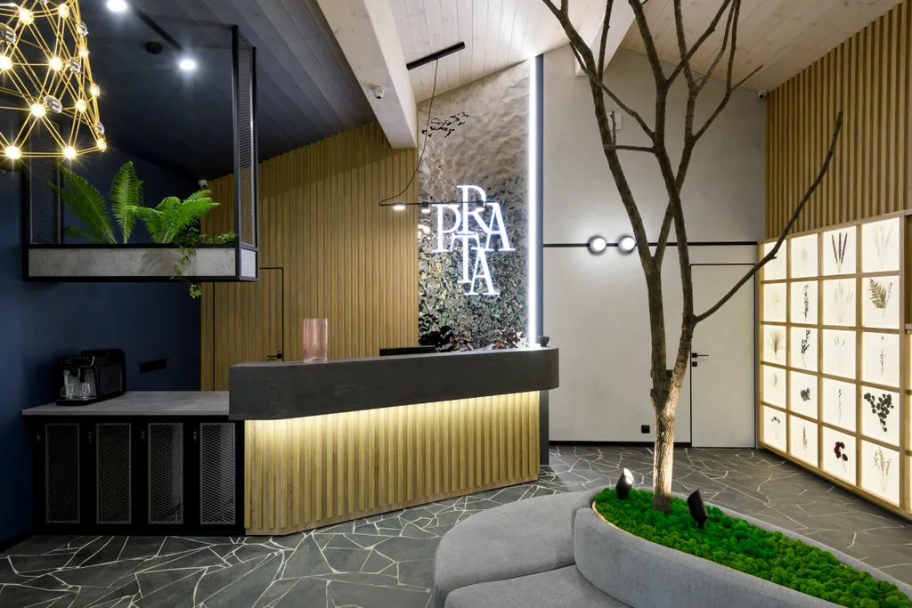 Новый шале в горах Алтая