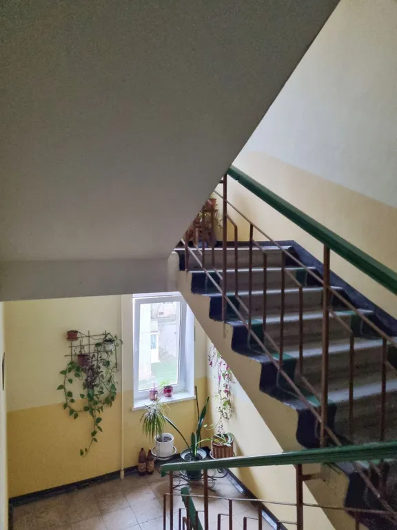 Квартира с видом на сосны