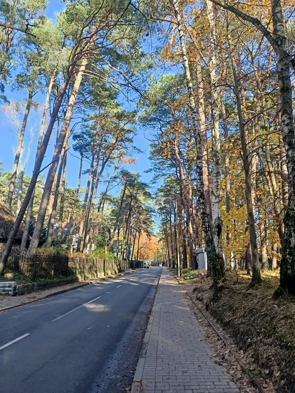 Квартира Квартирка в сосновом бору в центре — аренда посуточно в Светлогорск