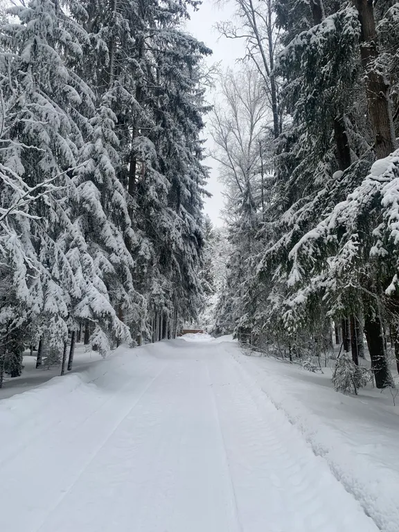 Коттедж Загородный уютный дом с баней и калиткой в лес — Большие Семенычи