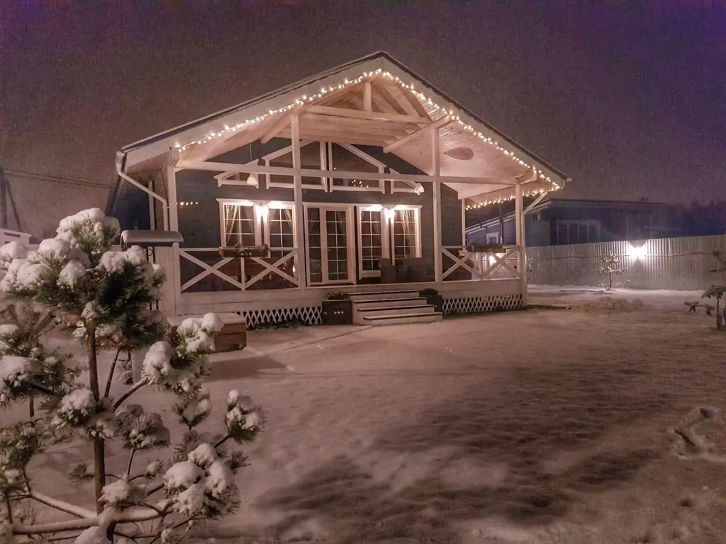 Дом с бассейном и сауной у леса