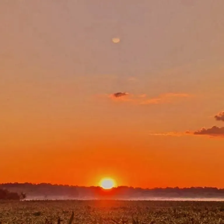 Отдых на территории гпу Беловежская пуща