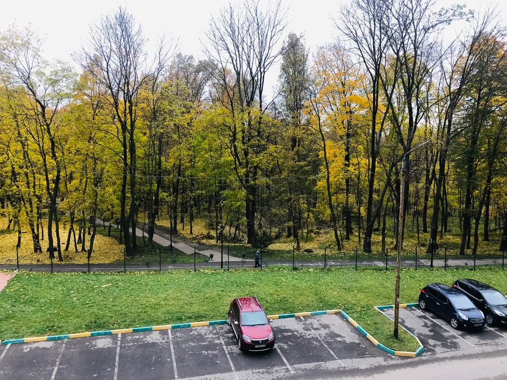 Полноценная двухкомнатная квартира с видом на платоновский парк