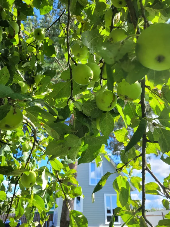 Атмосферный дом в старинном Торжке