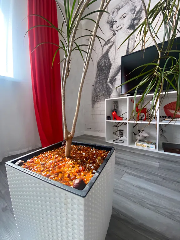 Квартира Апартаменты Монро — Калининград