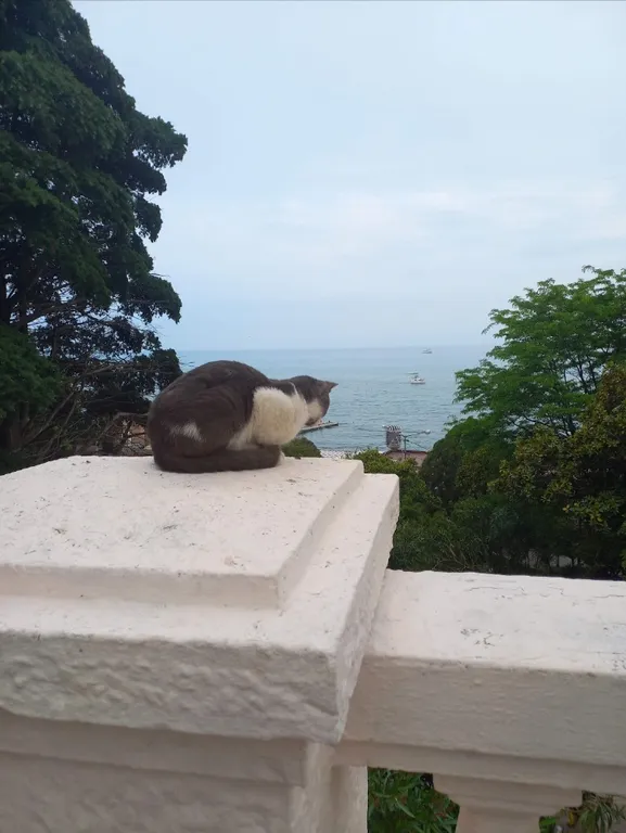 Уютная студия в тихом районе, вблизи Зимнего театра