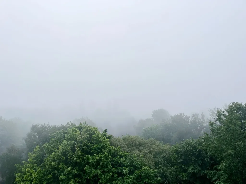 Квартира Новая квартира у моря — Светлогорск