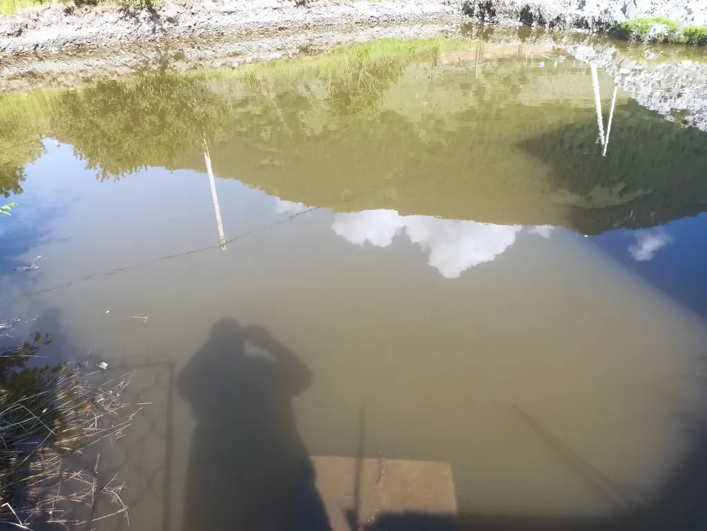 Дача у реки