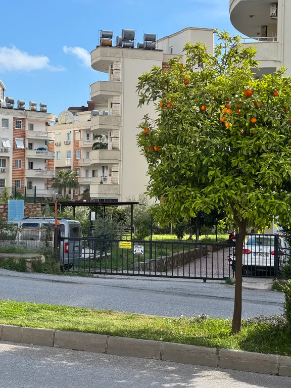 Новая квартира в Авсалларе