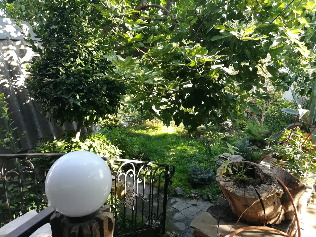 Уютный номер с супер видом на Воронцовский парк