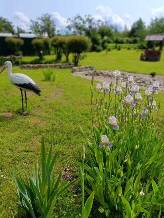 Уютный домик