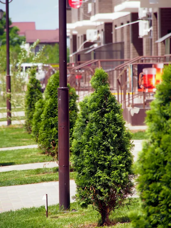 Квартира Квартира Апартамент ЖК Победный — Краснодар