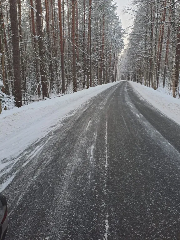 Дизайнерская комфортная студия у Финского залива в окружении леса