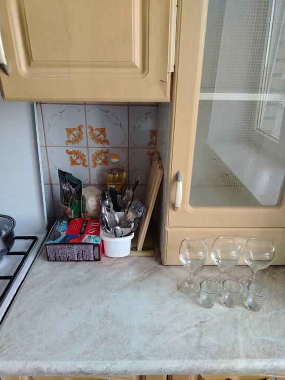 Брест квартира сутки