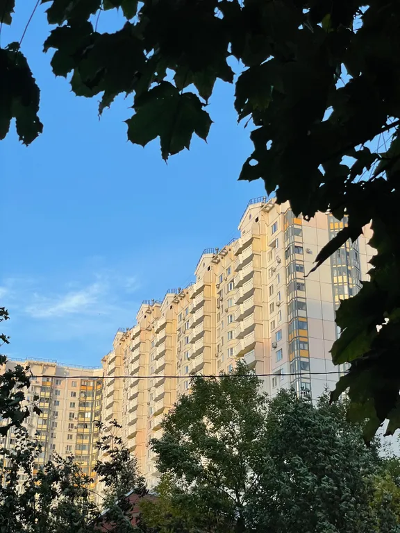 Погулять и поработать