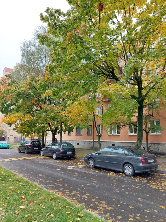 Светлые и романтичные апартаменты в самом центре