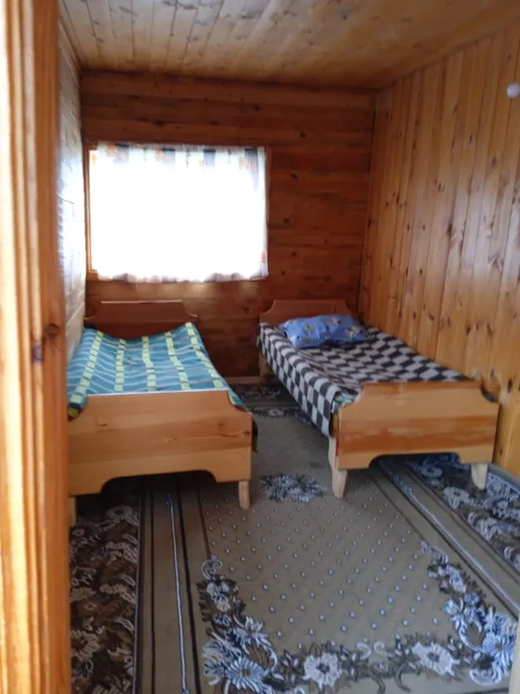 Кедровый дом на берегу реки Бия с видом на реку