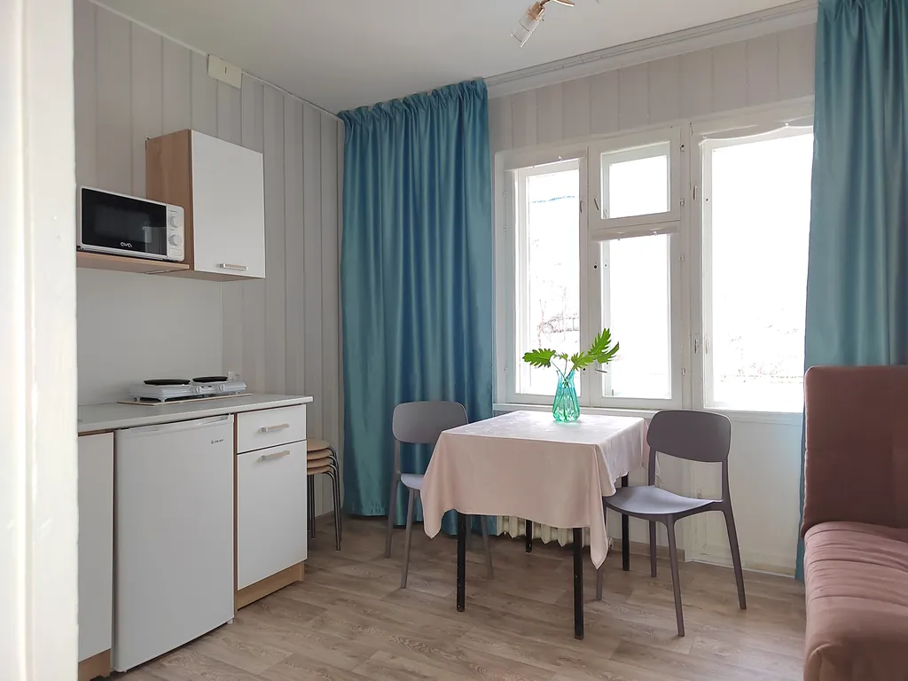 Уютная однокомнатная квартира