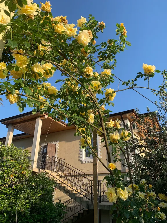 Двухместный стандарт с двуспальной кроватью без балкона на 1 этаже