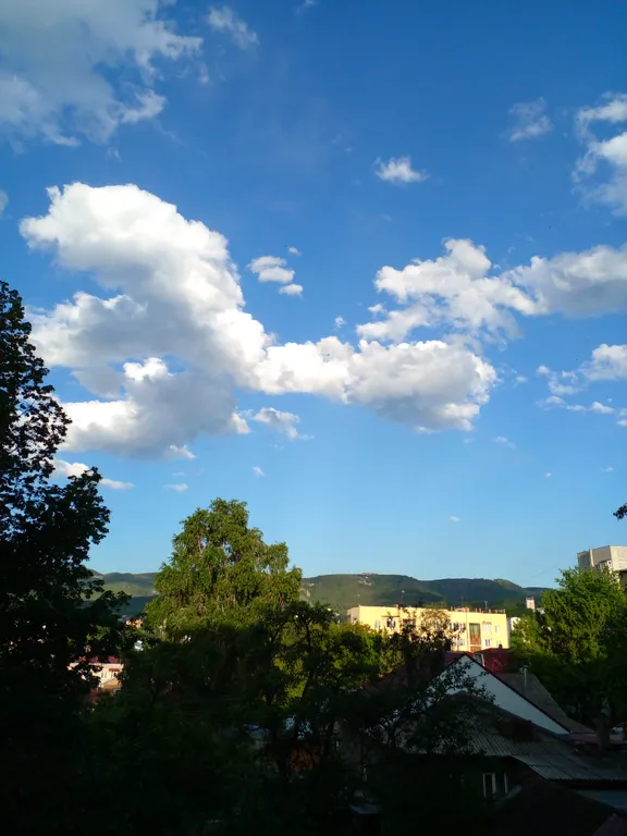 Чистая, уютная квартира в районе центрального рынка