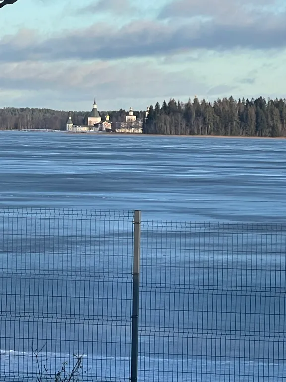 Белый кролик