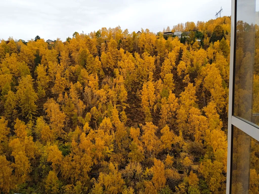 Уютная студия вблизи Столбов
