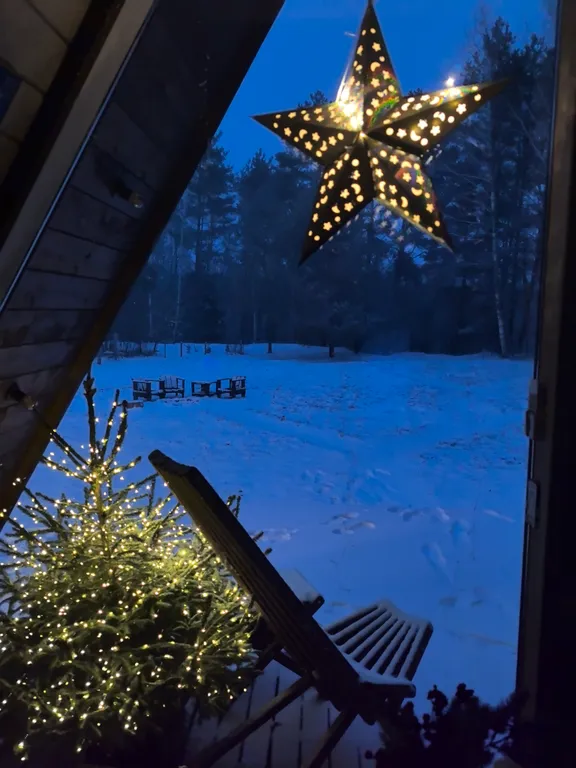 Дом шалаш Звезда над Неманом