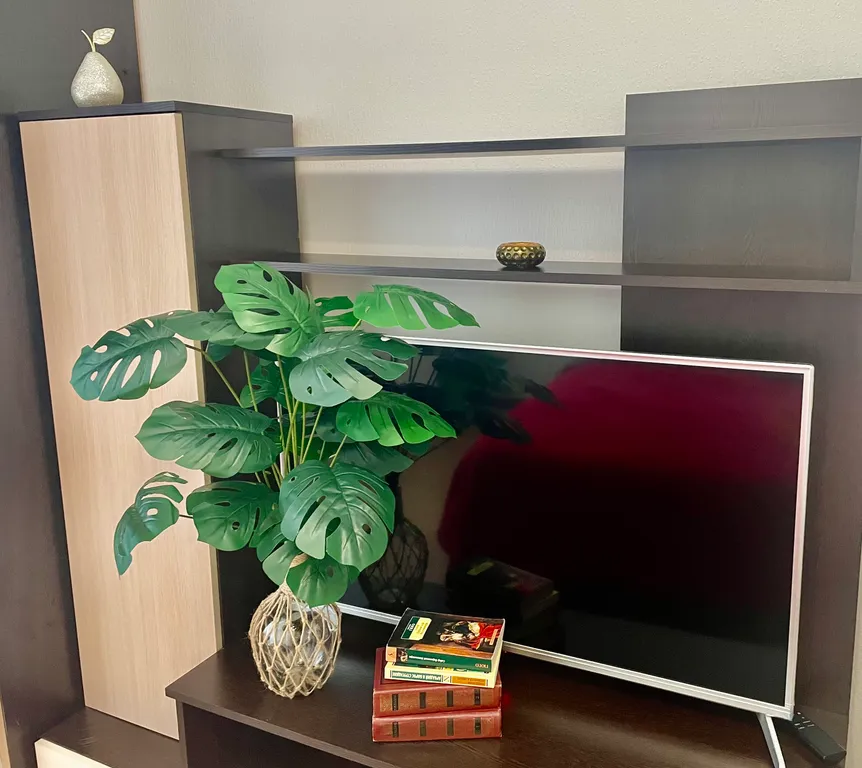 Студия для двоих у Мега парка