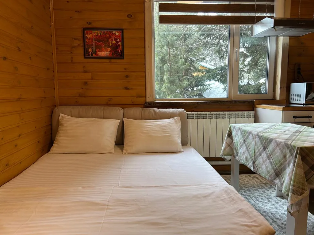 Коттедж в деревнем хвойном лесу