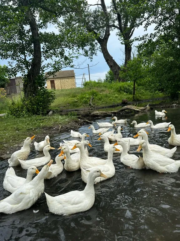 Дом возле моря