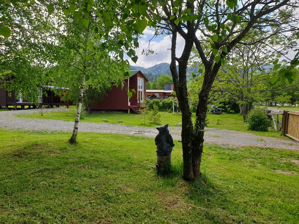 Отдых Телецкое