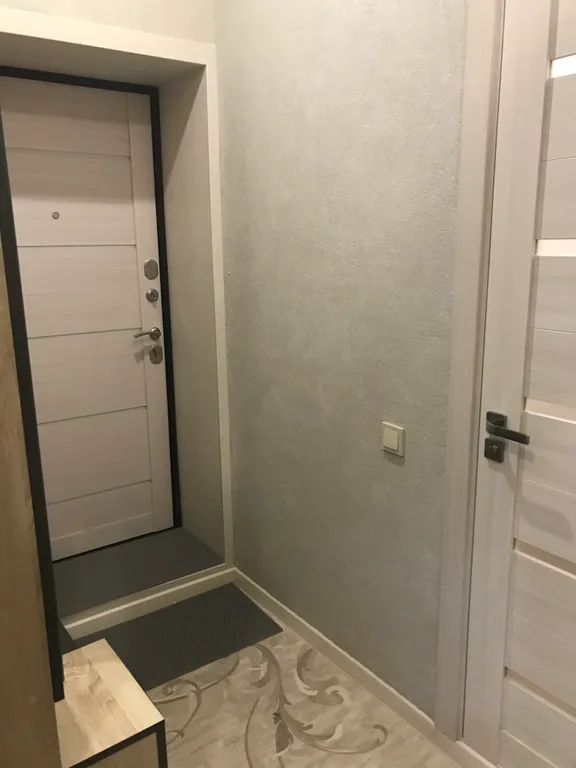 Однокомнатная квартира с окнами на парк Землячки рядом цирк, УДС Молот