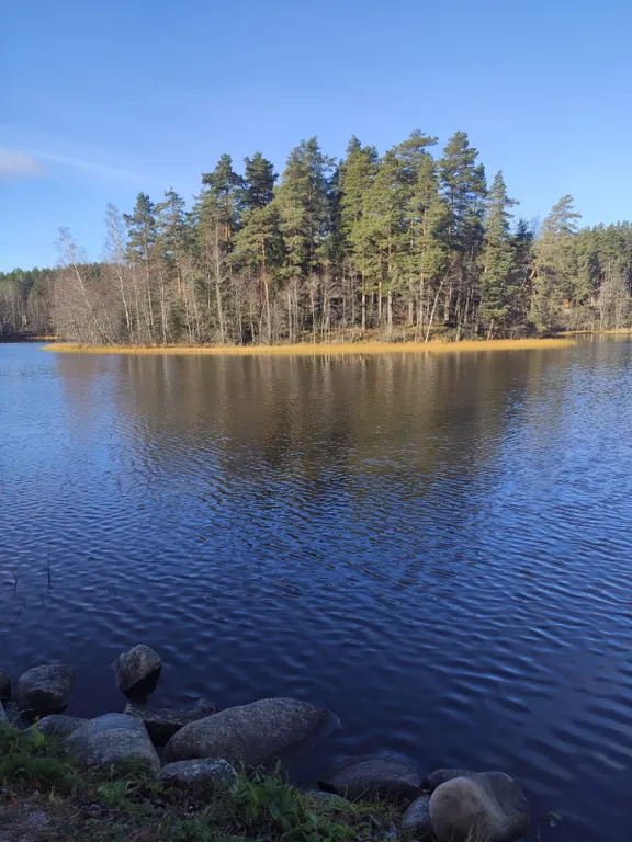 Коттедж Дом с сауной — Борисово